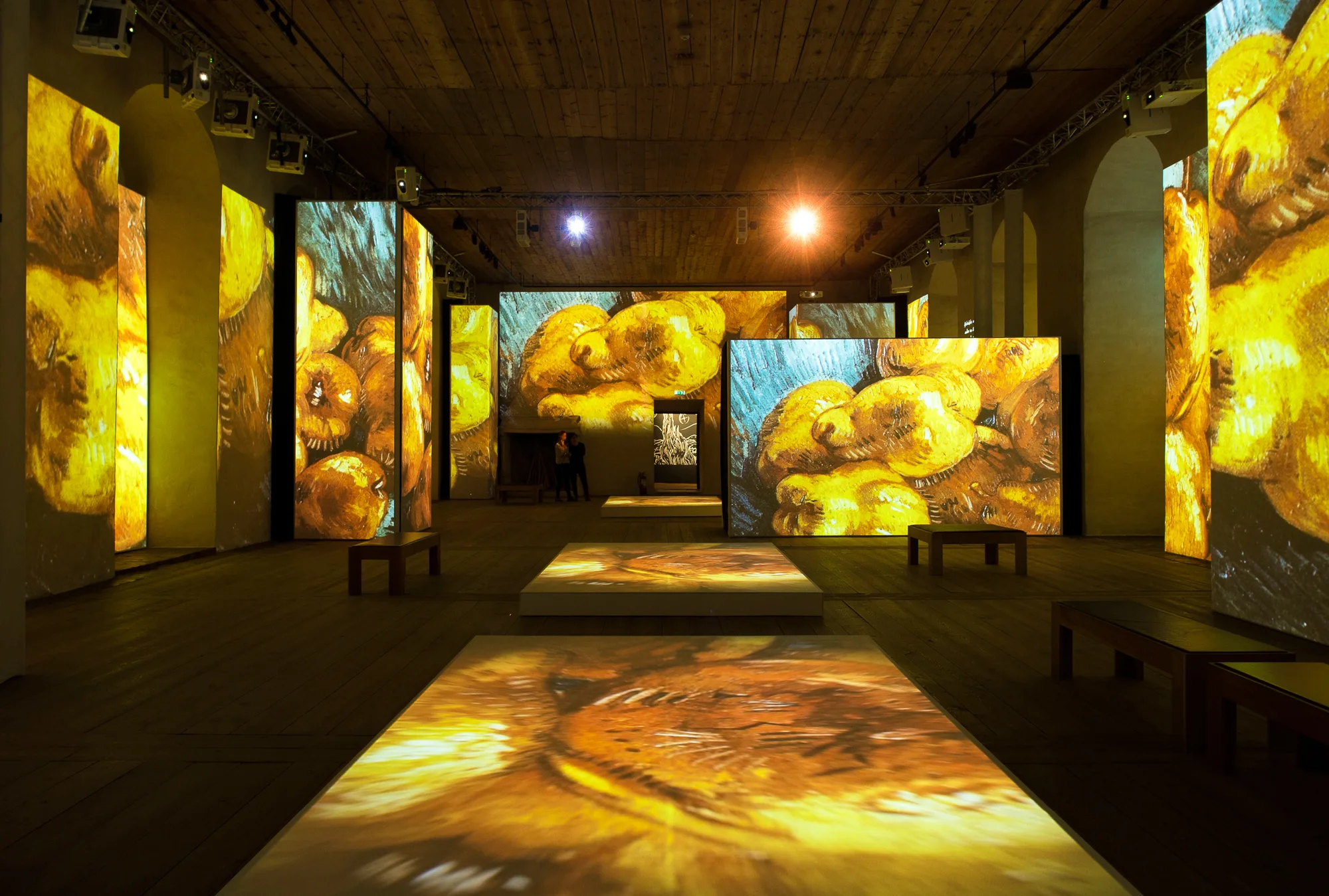 Žute projekcije Van Goghovih djela u izložbenom prostoru