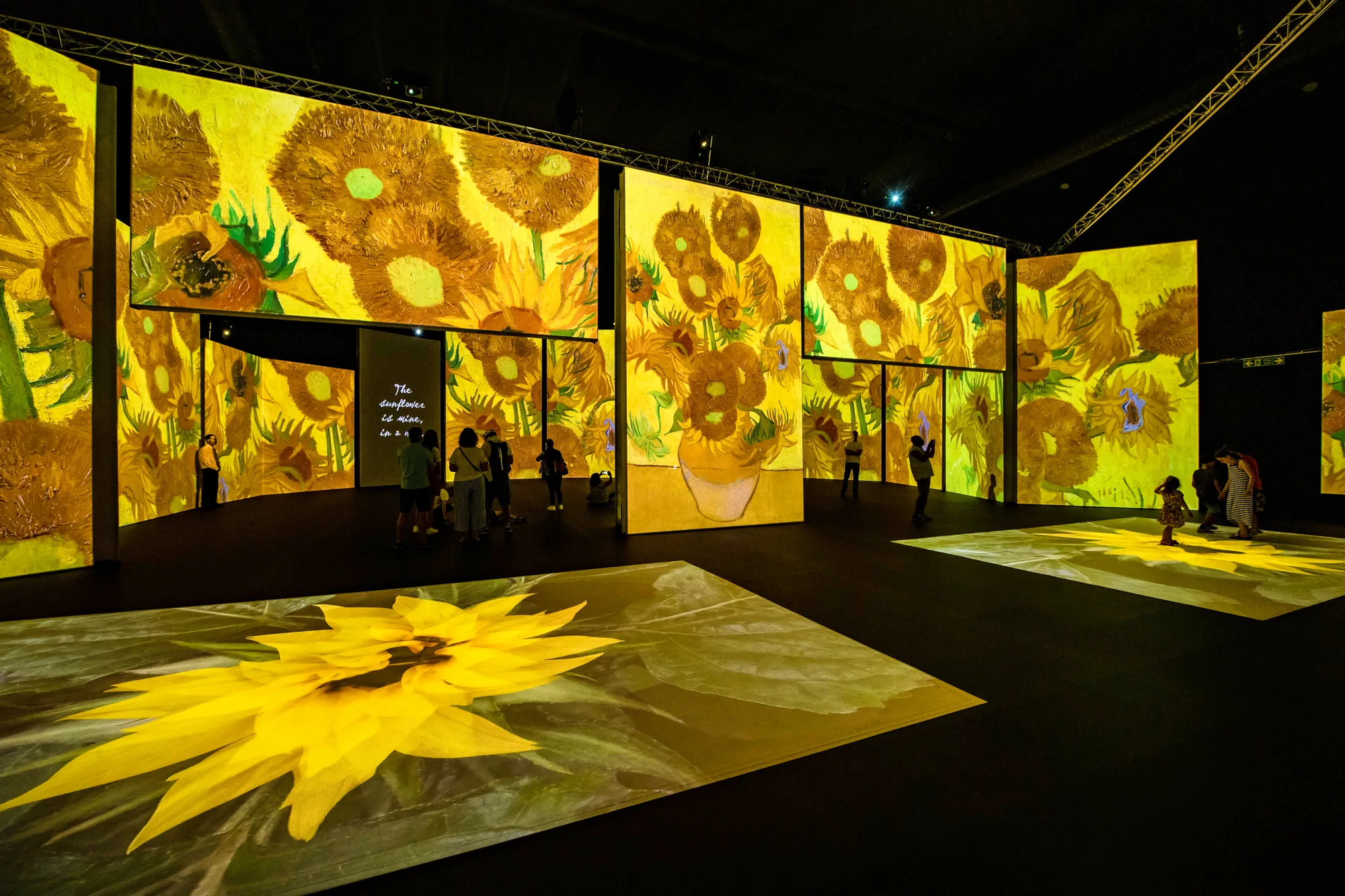 Projekcije Van Goghovih suncokreta u galeriji